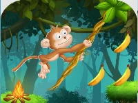 Monkey s ropes