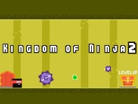 Kingdom of ninja 2