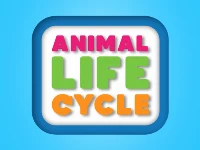Animal life cycle
