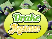 Drake jigsaw