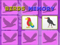 Kids memory with birds