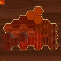 Woody block hexa puzzle game