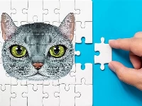 Abyssinian puzzle challenge