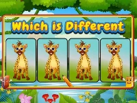 Which is different animal
