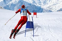 Slalom ski simulator