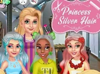 Princess silver hairstyles