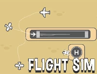 Flight sim