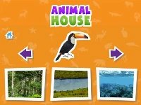 Animal  house game