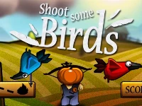 Shoot some birds