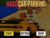 Hard car driving-park