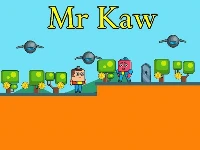 Mr kaw