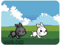 Bu bunny two rabbit