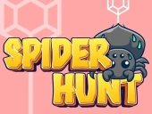 Spider hunt