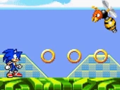 Sonic runners