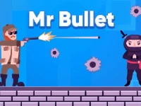 Mr bullet