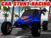 Car stunt raching