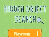 Hidden object search