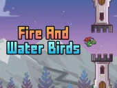 Fire and water birds