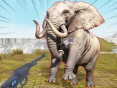 Capa do jogo Zoo anomaly simulation