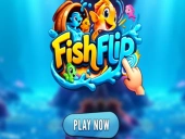 Capa do jogo Fishflip