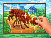 Capa do jogo Torn pieces