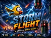 Capa do jogo Storm fighter007