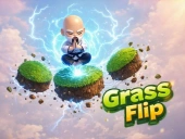 Capa do jogo Grass flip