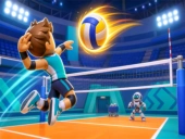 Capa do jogo Funny volleyball