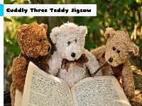 Cuddly three teddy jigsaw