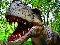 Dinosaurs scary teeth puzzle