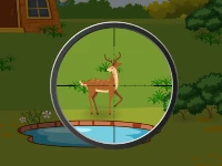 Deer hunter 2d