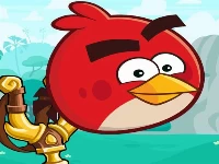Angry birds casual